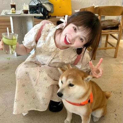 如果历史是一群喵第二季